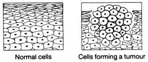 Two diagrams, one showing normal cells and the second showing cells forming a tumour.