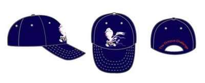 Photograph of Octopus challenge fund caps