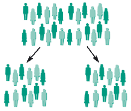 Trial groups for which treatment is randomly chosen by computer